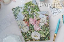 Zápisník Paperblanks Bindweed Fairy Flexis midi nelinkovaný FB9917-8