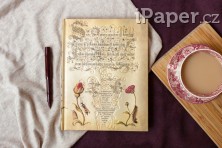 Zápisník Paperblanks Flemish Rose ultra nelinkovaný 8173-9