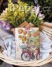 Zápisník Paperblanks Holland Spring Flexis midi linkovaný 7281-2