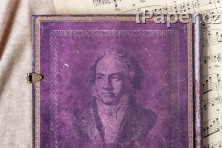 Zápisník Paperblanks Beethoven´s 250th Birthday midi linkovaný 6401-5