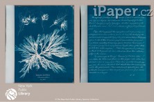 Zápisník Paperblanks Sea Flowers Flexis midi linkovaný FB1367-0