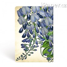 Paperblanks zápisník Blooming Wisteria mini 3576-3, nelinkovaný
