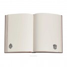 Zápisník Paperblanks Slytherin midi nelinkovaný PBD6514