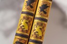 Zápisník Paperblanks Hufflepuff midi linkovaný PBD6517