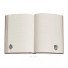 Zápisník Paperblanks Slytherin midi linkovaný PBD6513