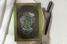 Zápisník Paperblanks Slytherin midi nelinkovaný PBD6514