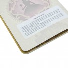 Sešit Paperblanks Magic Unleashed A5 čtverečkovaný CBD6504