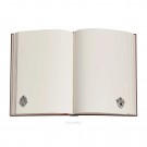 Zápisník Paperblanks Ravenclaw midi nelinkovaný PBD6516