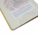 Sešit Paperblanks Magic Unleashed A4 tečkovaný CBD6499