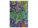 Paperblanks - Paperblanks diář 18měsíční 2022-2023 Van Gogh’s Irises Ultra vertikální 8522-5