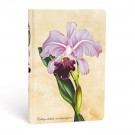 Paperblanks - Paperblanks zápisník Brazilian Orchid mini 3573-2, nelinkovaný